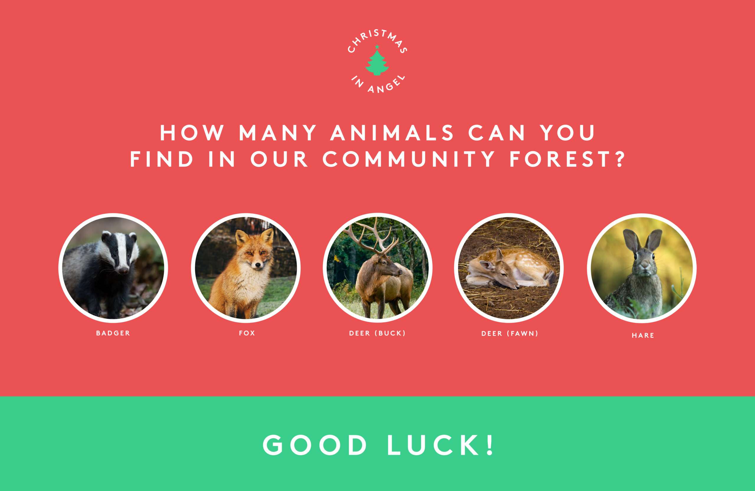 How many animals can you find in our community forest?