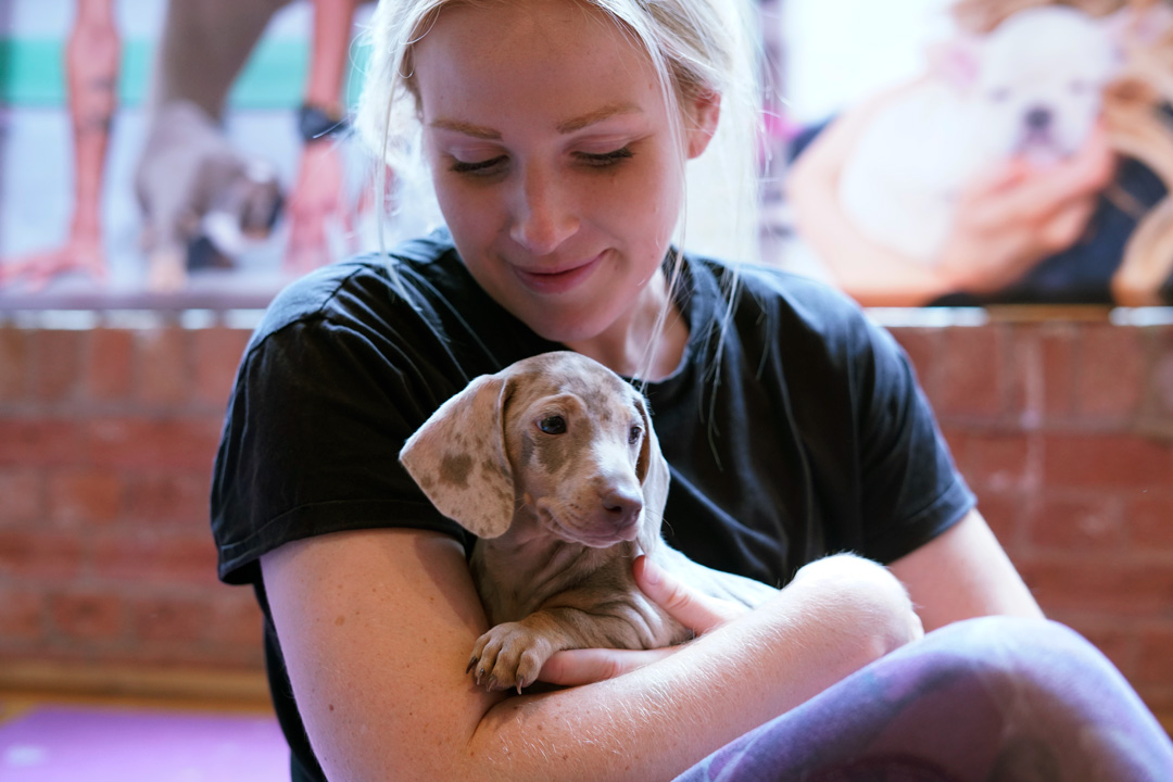 Puppy Yoga - Angel Central